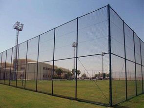 學校球場圍欄網(wǎng)與鋼結構網(wǎng)架 安全防護與空間優(yōu)化的綜合解決方案